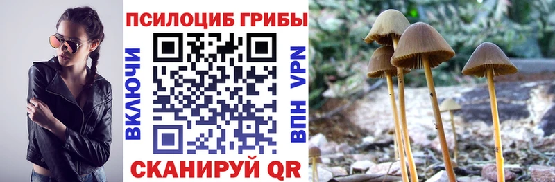 закладка  это формула  Псилоцибиновые грибы прущие грибы  Череповец 